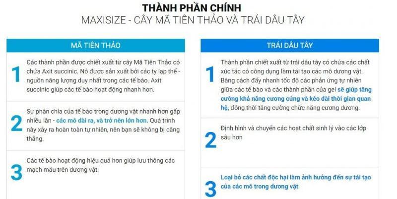 thành phần maxisize gel