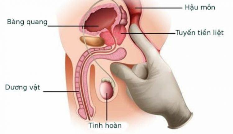 cách tìm điểm g của nam giới