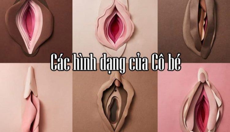 Các hình dạng của cô bé