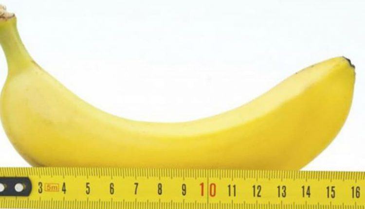 Chiều dài trung bình của cậu nhỏ Việt Nam