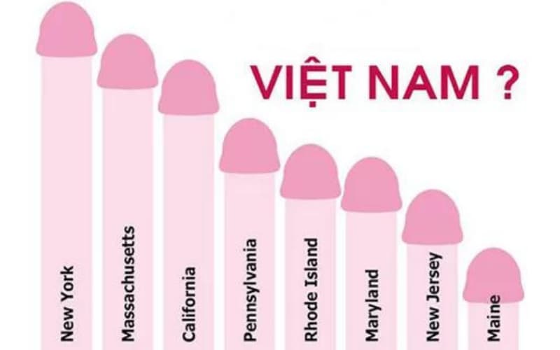 Chiều dài trung bình dương vật Việt Nam thế nào là chuẩn?